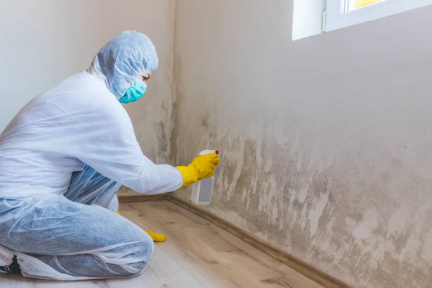Mold Remediation specialist working in Oakland